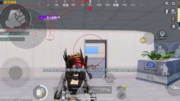 和平精英辅助【神眸】